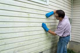 Best Vinyl Siding Installation  in Ixonia, WI